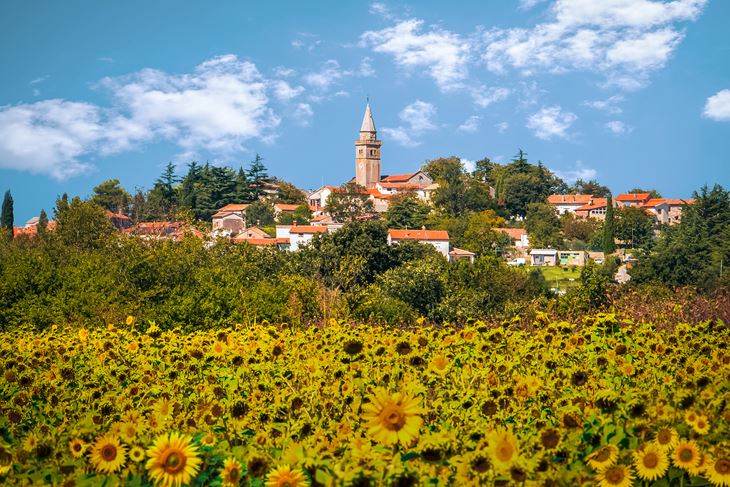 Žminj (Foto: TZ Žminj)