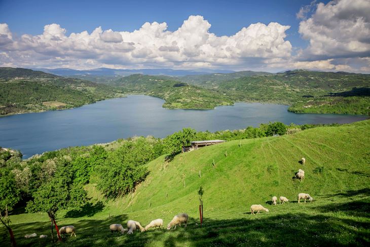 Kada se radio društveni ugovor o podjeli udjela u vodovodima i Butonigi temeljni princip bila je potrošnja (Foto: TZ središnja Istra)