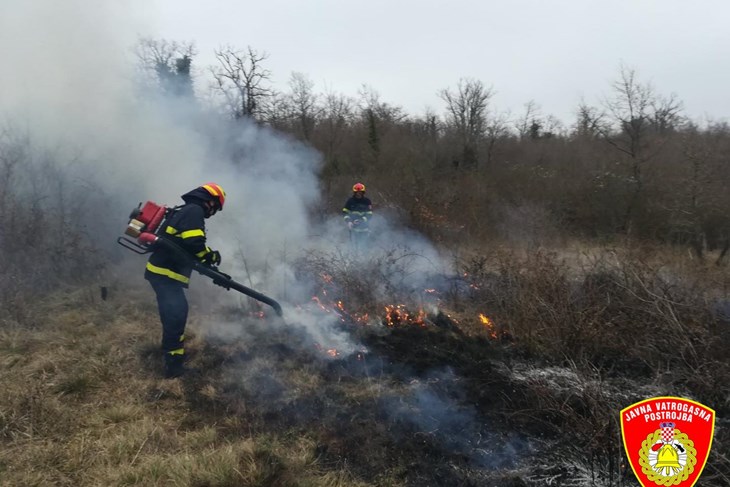 Na Barbanštini je gorjelo na parceli nepoznatog vlasnika (Foto JVP Pula)