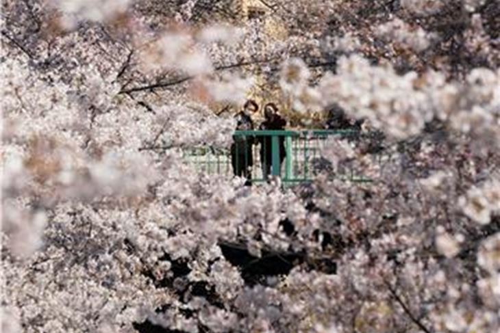 (Hina/EPA)