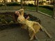 (Snimila: Ana Lorencin)