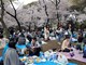 Tokio - svetkovina hanamija u parku Ueno (Snimio Dejan Pavlinović)