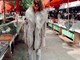 Streetstyle Pula 15. travnja 2021.