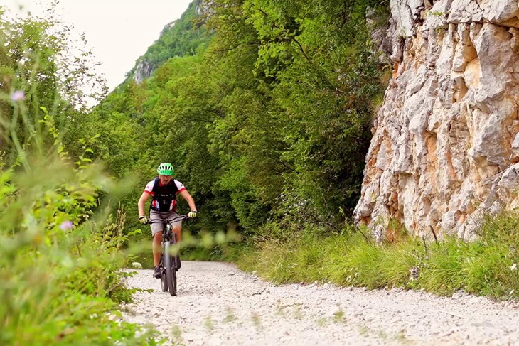 Na stazi se mogu vidjeti ljepote prirode i upoznati tipična flora (Arhiva Glasa Istre)