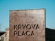 Krvova placa