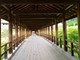 Kyoto - hram Tofukuji 