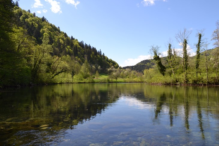 Šetnica dolinom rijeke Kupe (Snimila Renata Brajdić)