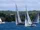 57. Pulska regata krstaša u pulskoj luci (Snimio Dejan Štifanić)