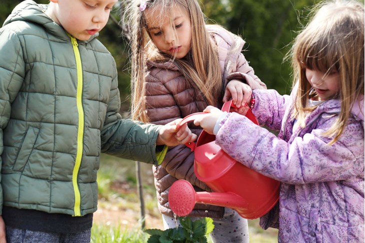 Nabavljeno je 25 vrtnih gredica sa zemljom, biosadnicama i alatom za vrtlarstvo