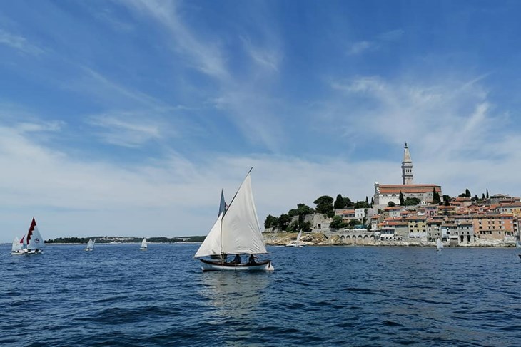 Rovinjska regata