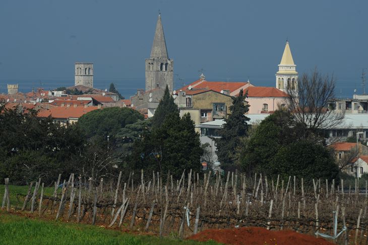 Poreč, panorama (snimio M. MIJOŠEK)