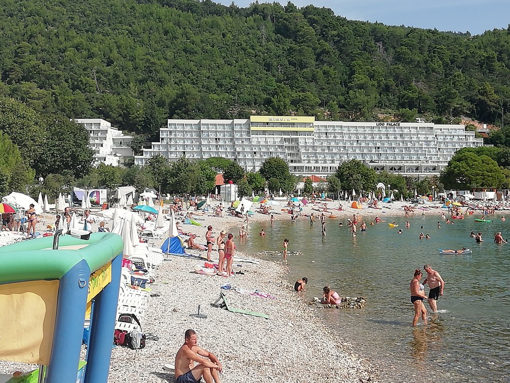 Slučaj Maslinica