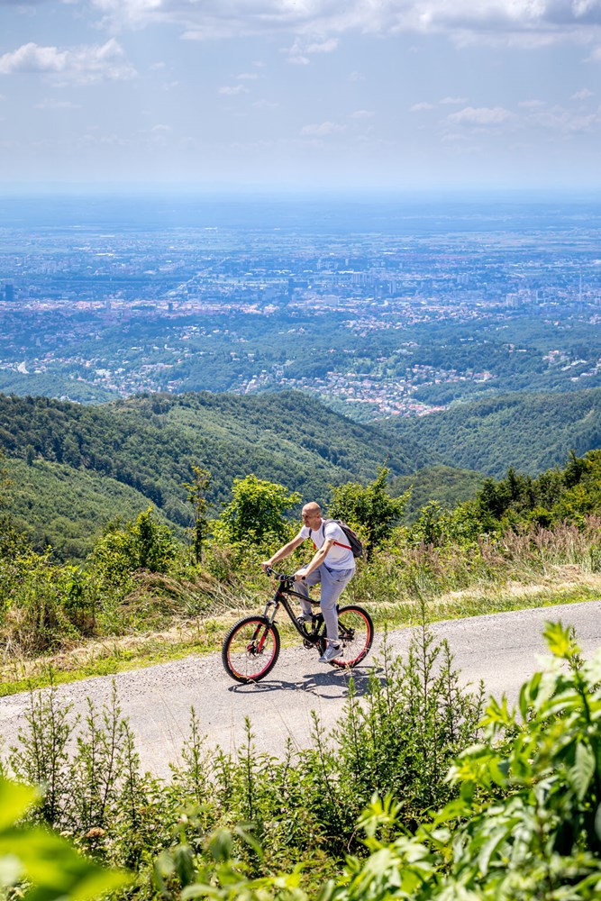 Medvednica