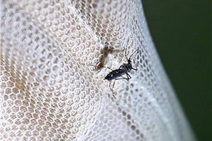 (Hina/EPA)