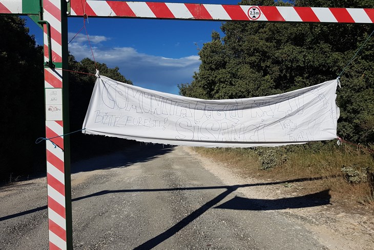 (Snimila Mirjana Vermezović Ivanović)