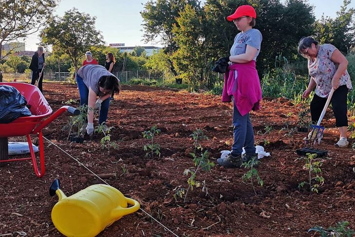 Na djelu međugeneracijska solidarnost - Društveni vrt na Gregovici