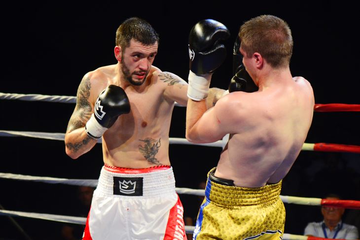 sport - boks - Marko Calic Snimio: Dejan STIFANICMARKO CxALICxx 