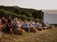 Kino u vinogradu Fakin u Motovunu