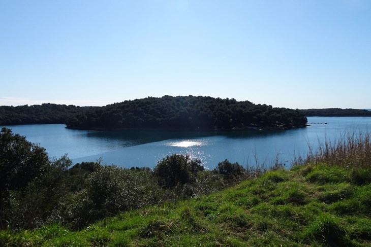 Park šuma Soline, gdje se dogodila vandalizacija
