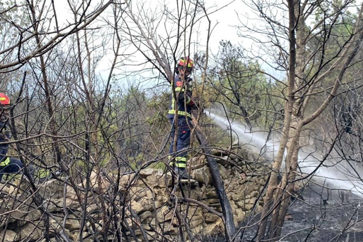 Rovinjski vatrogasci gase požar u Balama