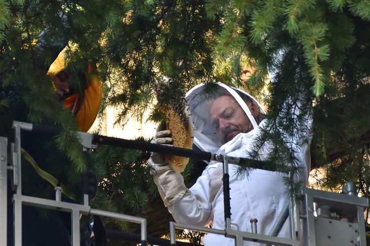 (Snimio Duško Marušić Čiči)