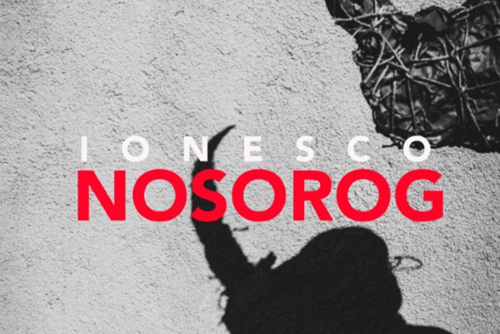 Nosorog