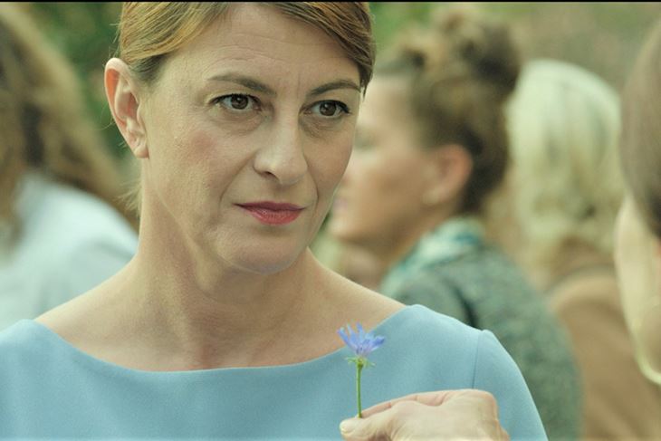 "Plavi cvijet"