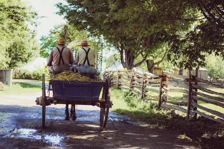 Tradicijski istarski drveni voz