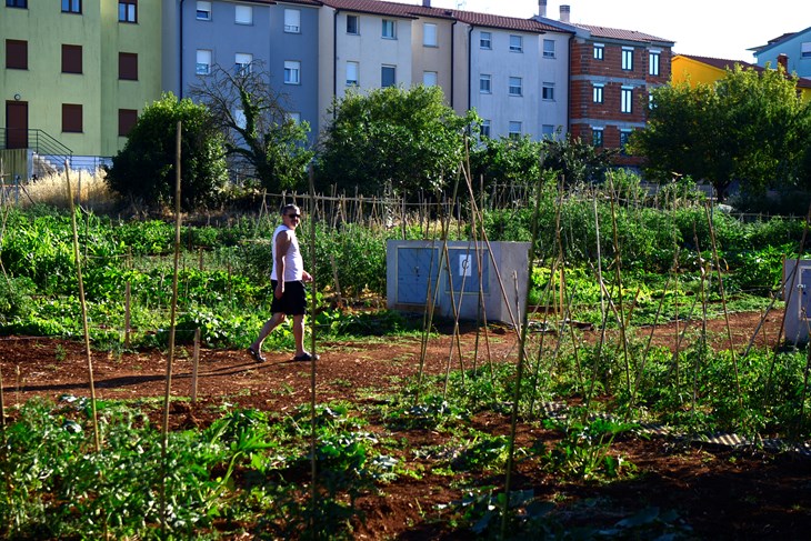 Urbani vrtovi (Snimio Dejan Štifanić)