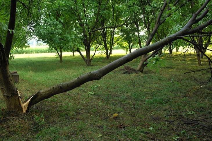 (Hina/EPA)