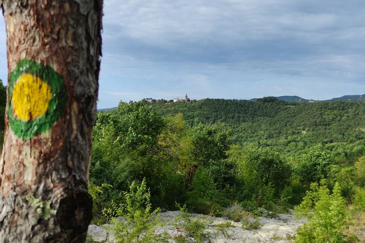 Staza Aurania (Foto TZ Središnje Istre)
