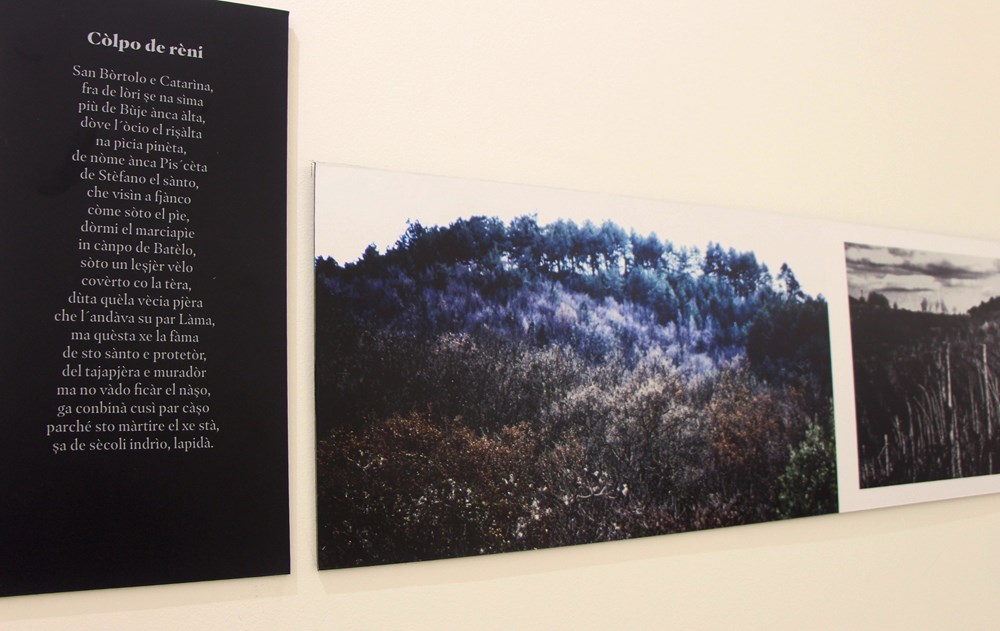 Fotografija i stih – bujska brda u galeriji Polenta nera