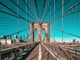 Brooklyn Bridge (Snimio Loris Zupanc)