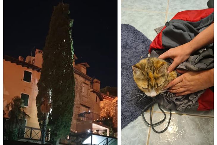 (Foto: JVP Rovinj - Rovigno)