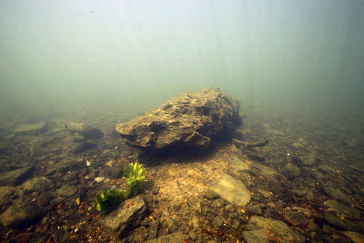 (Hina/EPA)