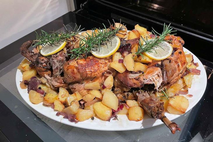 ŠKOLA KUHANJA BY THE OUTLAW CHEF: Brion na fazanski... iliti fazan na brionski