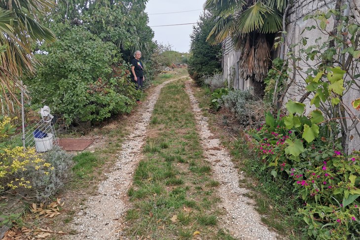 Stari put kojeg Vilma koristi do svoje kuće, a prolazi pored Viskovićeve (snimo Branko Biočić)