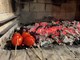 ŠKOLA KUHANJA BY THE OUTLAW CHEF: Tikka (iliti po naški ražnjići, tako barem meni to izgleda)