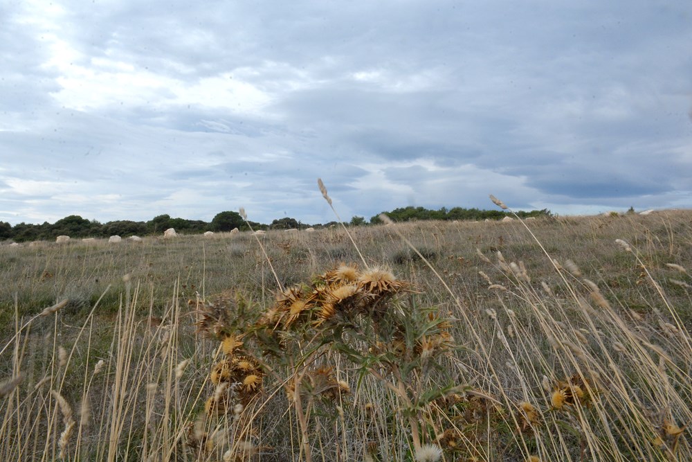 Kamenjak