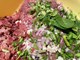 ŠKOLA KUHANJA BY THE OUTLAW CHEF: Arabian Hunter's Burger