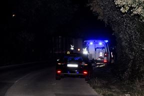 (Snimio Duško Marušić Čiči)