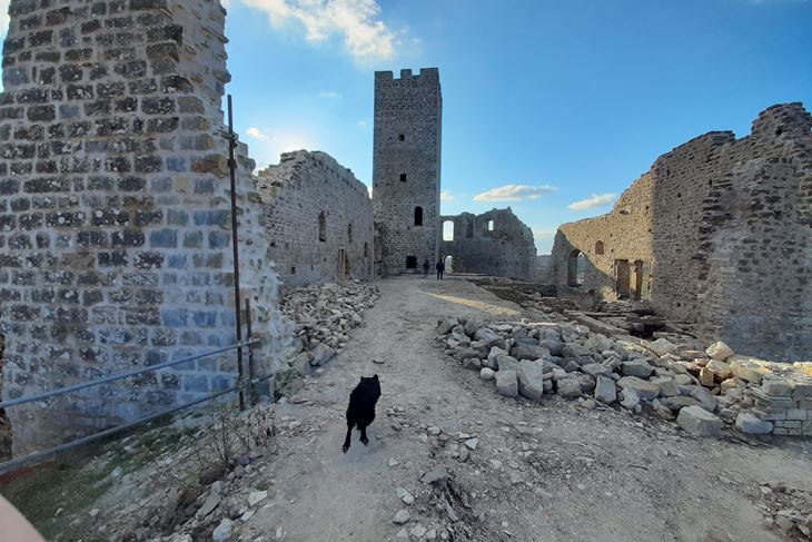 Jedna od fotografija Giannija Velana