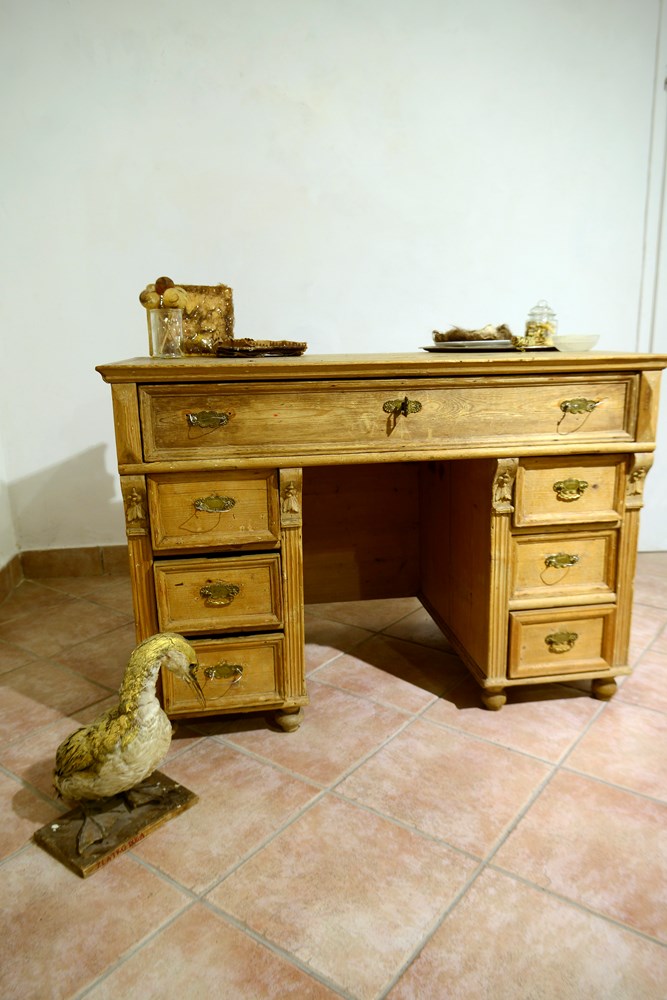 Foto