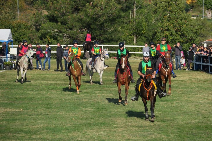 Finale Croatia Cupa u daljinskom jahanju (foto KK Istra)