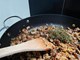 ŠKOLA KUHANJA BY THE OUTLAW CHEF: Risotto alla Brijunska Madonna