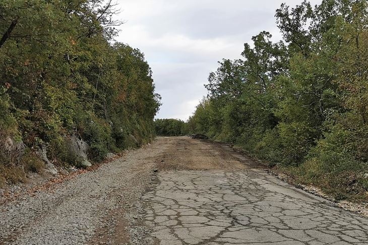 Cesta od od Lesišćine do Lupoglava (Snimio Anđelo Dagostin)