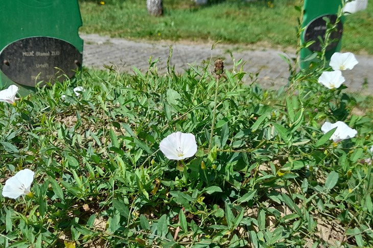 (Hina/EPA)