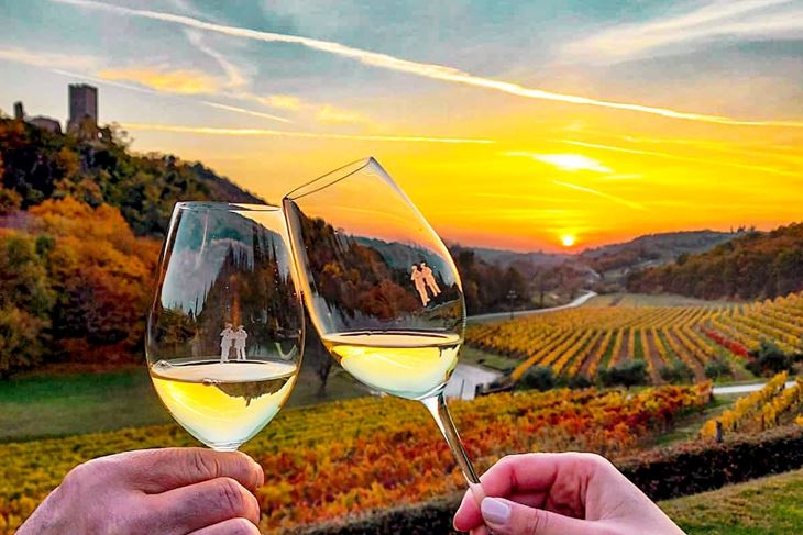 (Foto Vinarija Kozlović)
