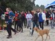 Humanitarna utka (Snimio Danilo MEMEDOVIĆ)