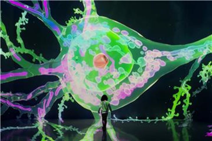 (Hina/EPA)